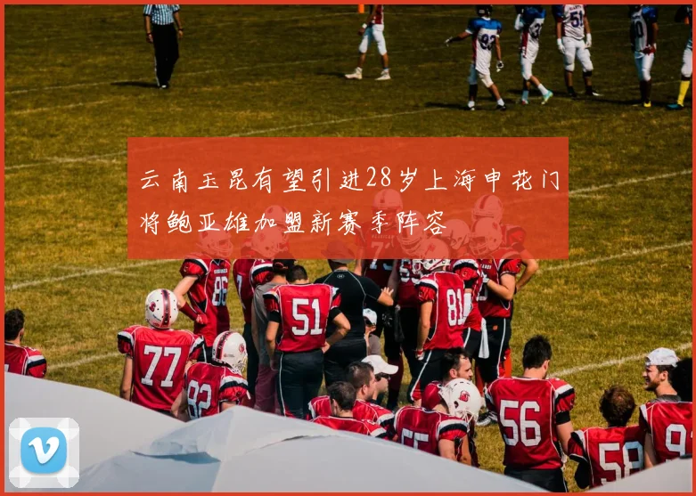云南玉昆有望引进28岁上海申花门将鲍亚雄加盟新赛季阵容