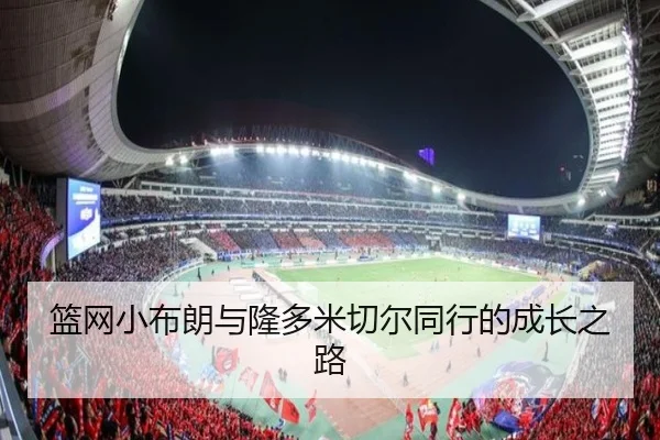 篮网小布朗与隆多米切尔同行的成长之路（ayx）